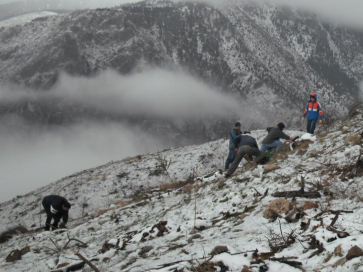 Κυλλήνιος Άδωνις Κυλλήνιος Άδωνις